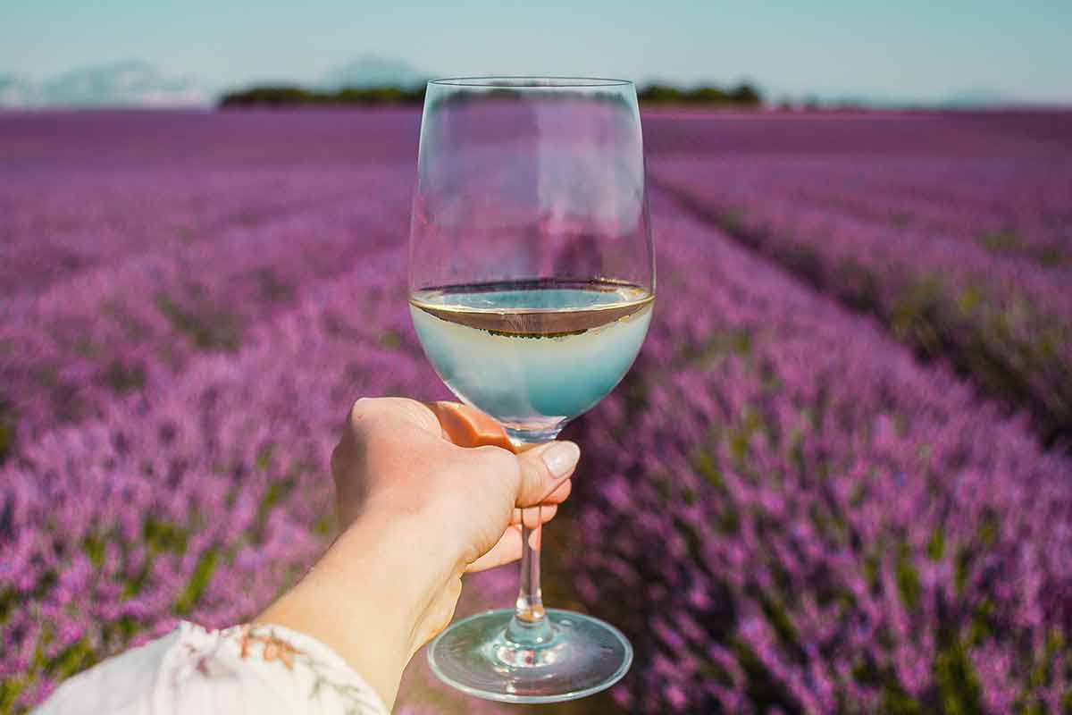 Female Hand With White Wine Glass On A Lavender Fields