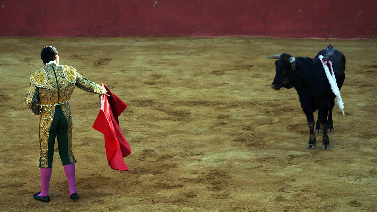 Traditional Corrida Bullfighting In Spain