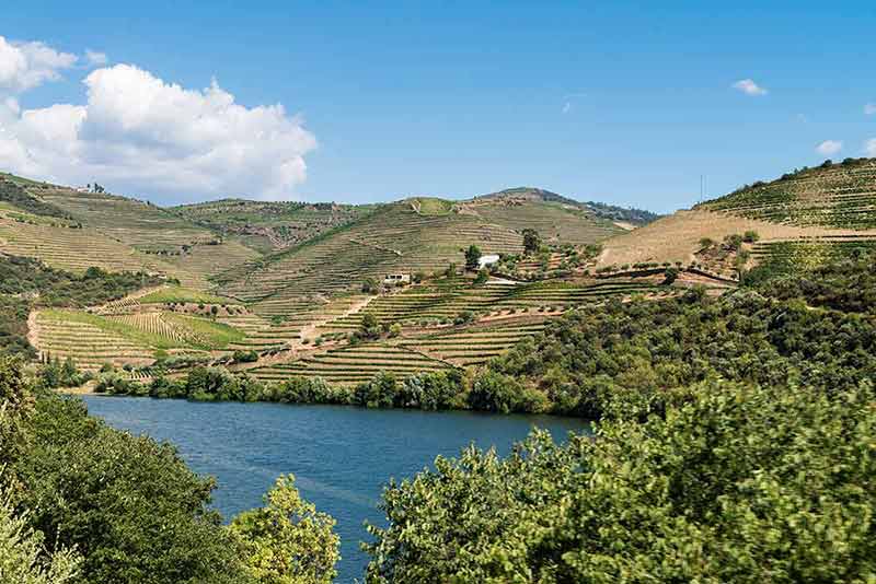 what is the best time to visit portugal vineyards along the river