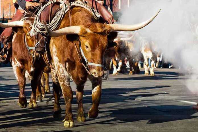 What Is Texas Known For In 2026 - 15 Famous Things