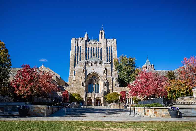 Yale University Buildings In New Haven