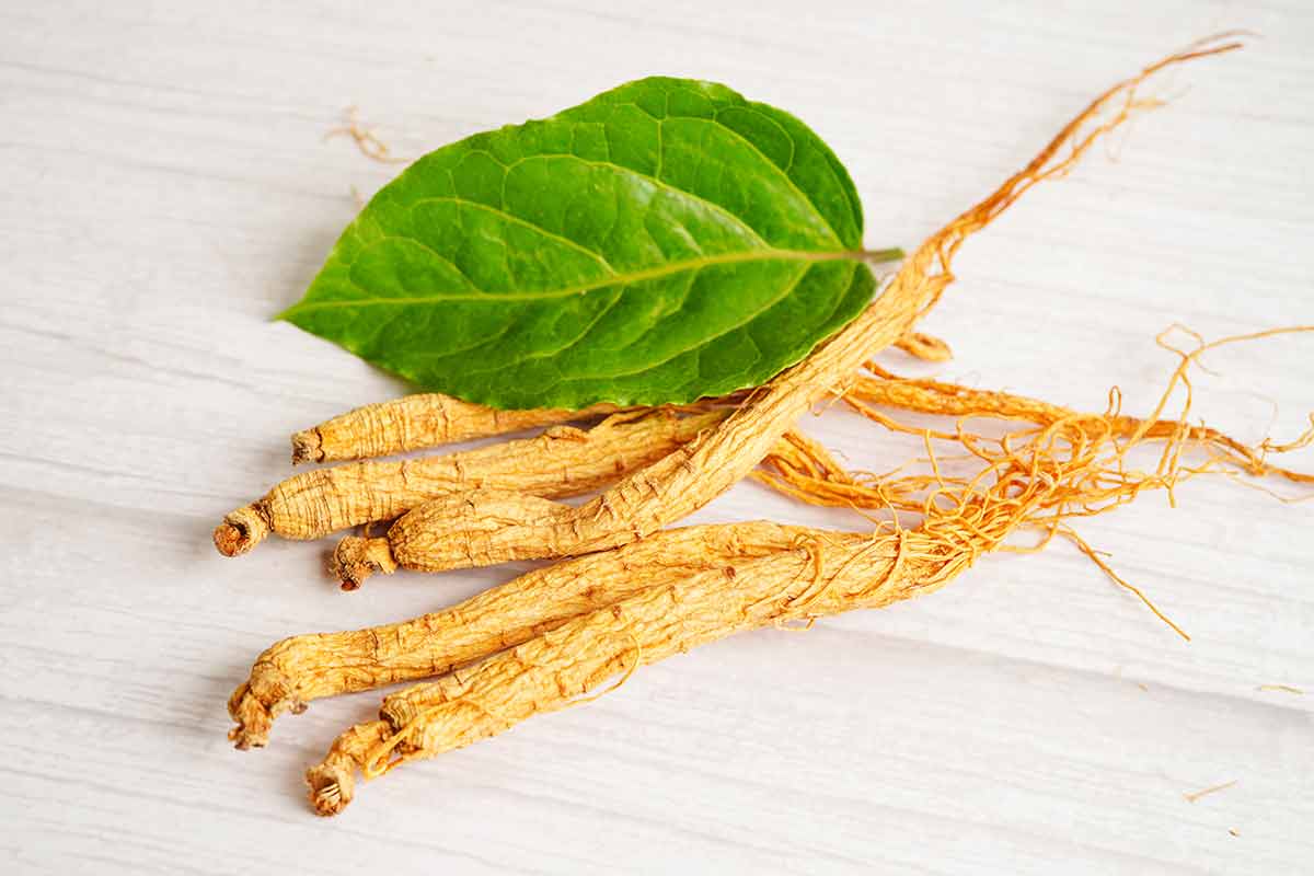 Ginseng Roots And Green Leaf, Healthy Food