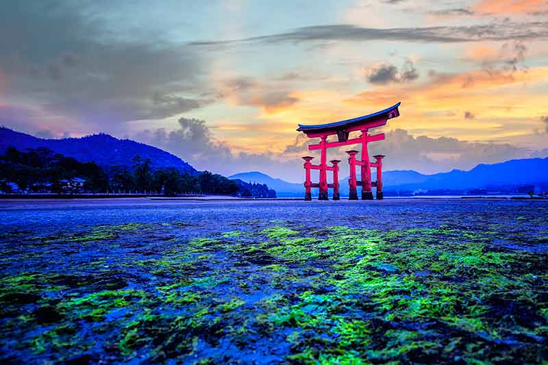 Tori Gate In Hiroshima Japan