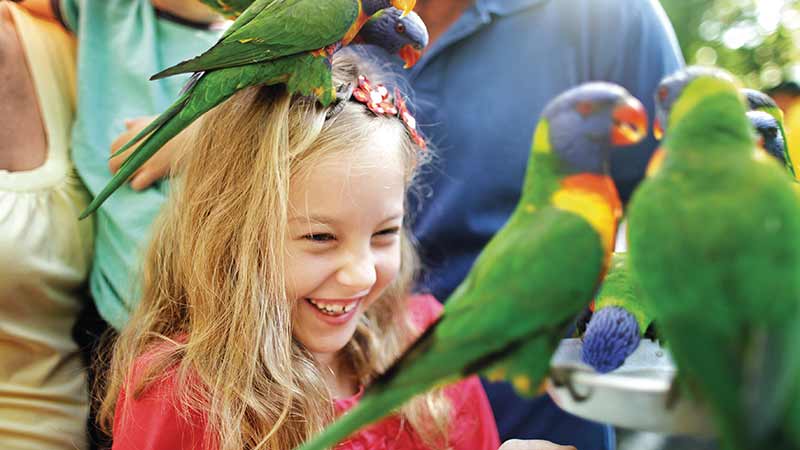 what to do gold coast with kids