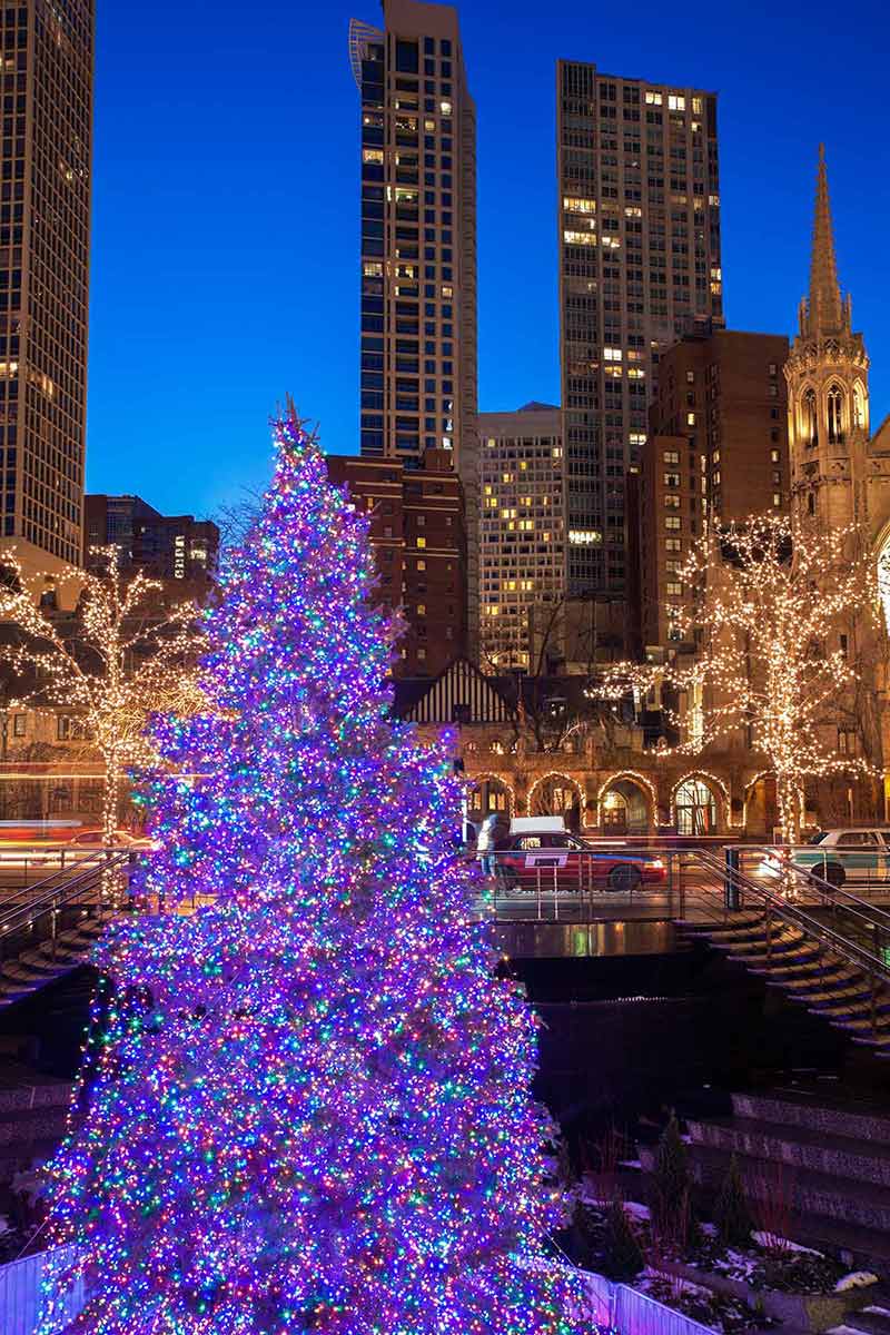 Christmas Tree In Chicago