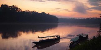 what to do in peru amazon cruise