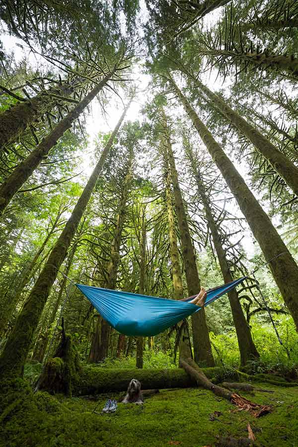 blue hammock slung between tall trees when does summer start in canada