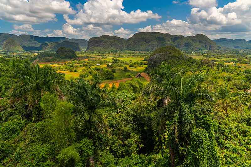 when is the best time to visit cuba lush Vinales Valley