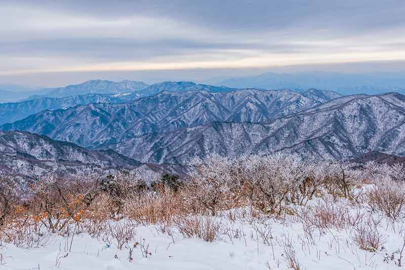Winter Landscape White Snow Of Mountain In Korea