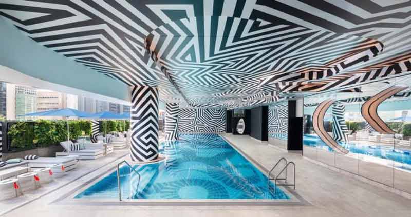 zebra pool at W Hotel Brisbane