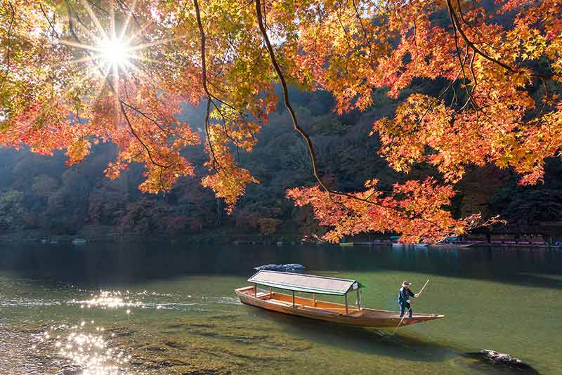 Beautiful Nature View Of Arashiyama