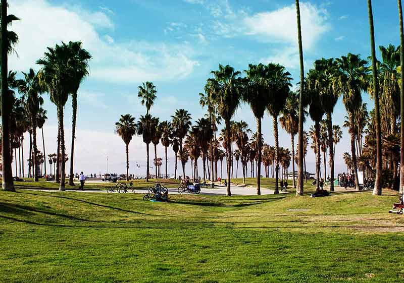 where to stay in los angeles on a budget beach and palm trees