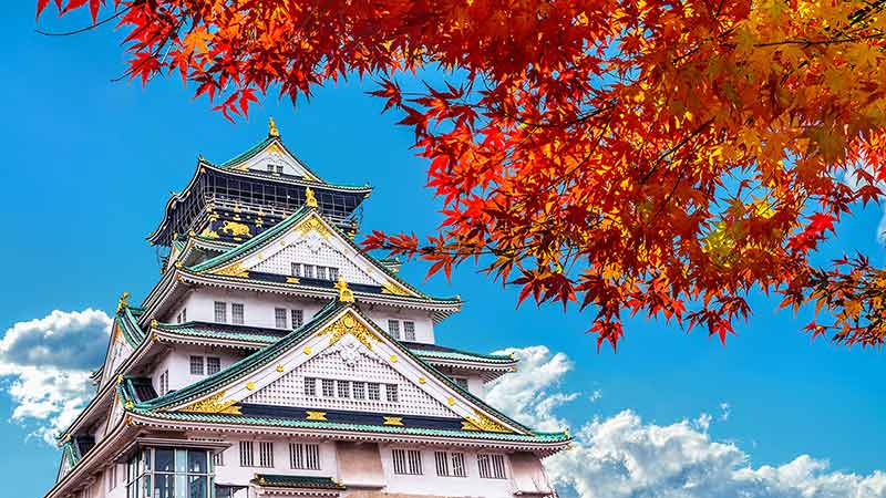Autumn Season And Osaka Castle In Japan