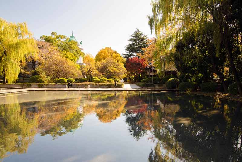 Beautiful Pond In Ueno