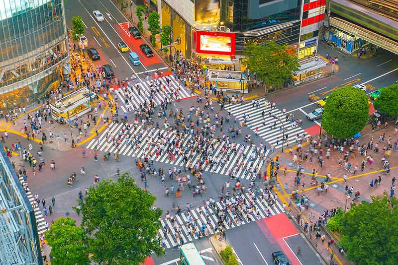 Shibuya Crossing From Top View In Tokyo