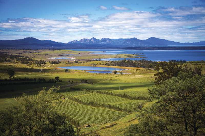 wine regions tasmania