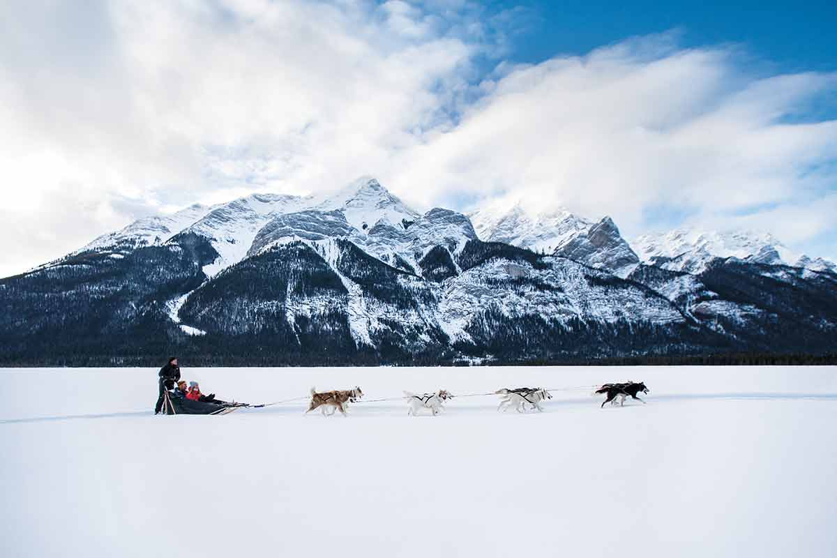 dog sledding in winter in canada