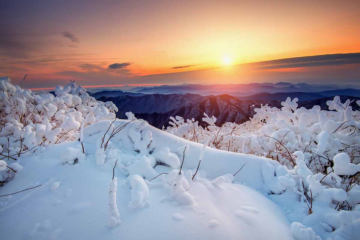 Sunrise On Deogyusan Mountains Covered With Snow