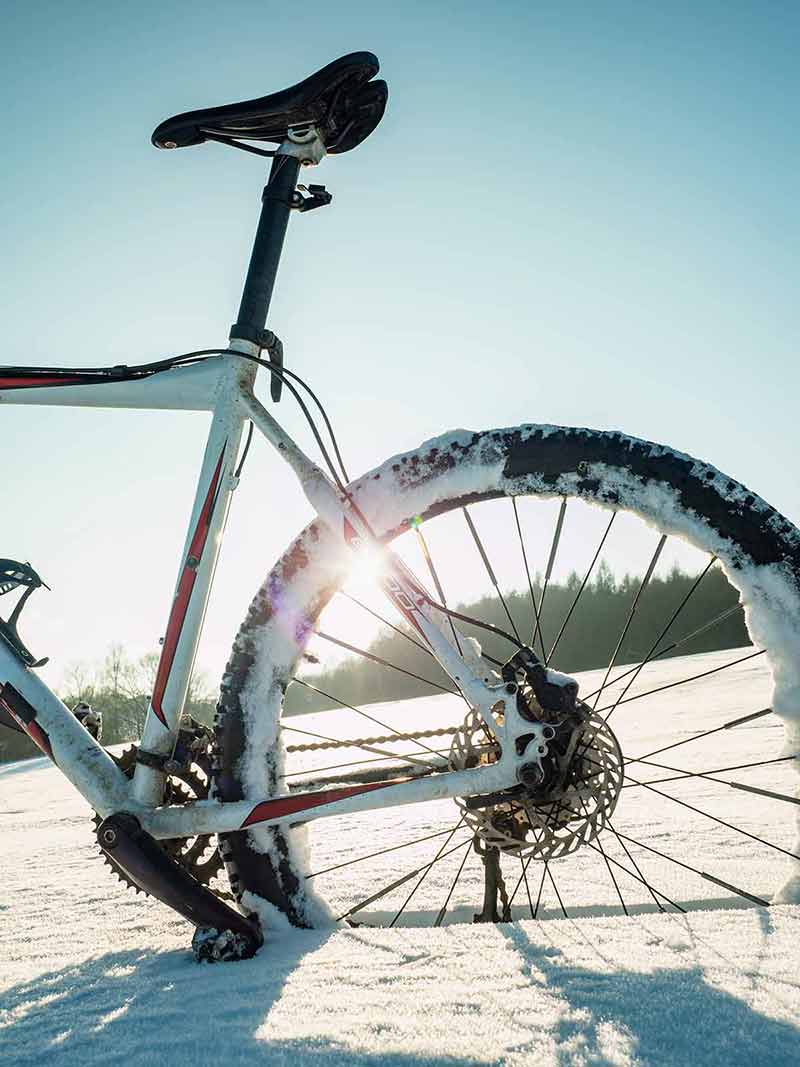 Rear Wheel Of Fat Bike On A Winter Trail