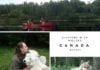 Would You Spend The Night In A Wolf Park? wolf park