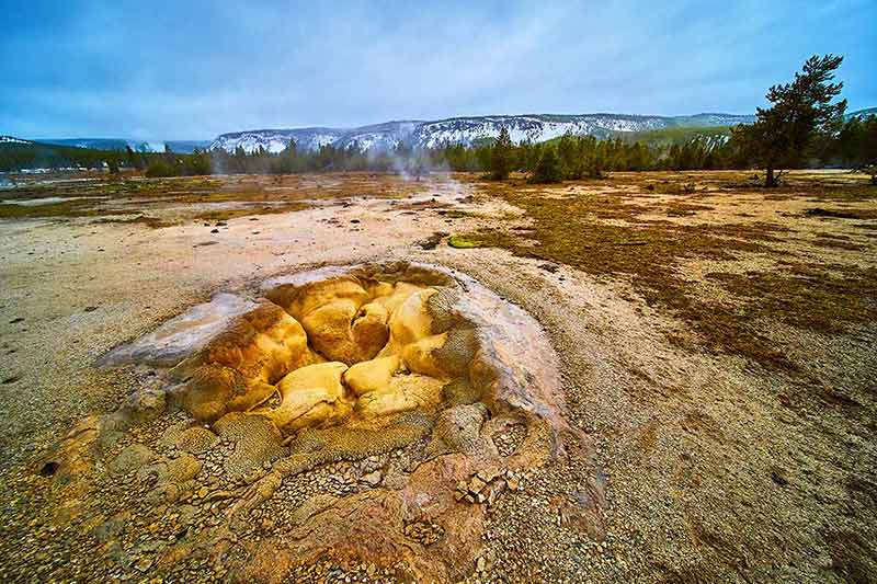 Geysers In Yellowstone Biscuit Basin During Winter