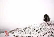 Lamar Valley Winter