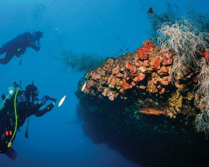 Yongala Dive - SS Yongala Diving in Queensland Australia